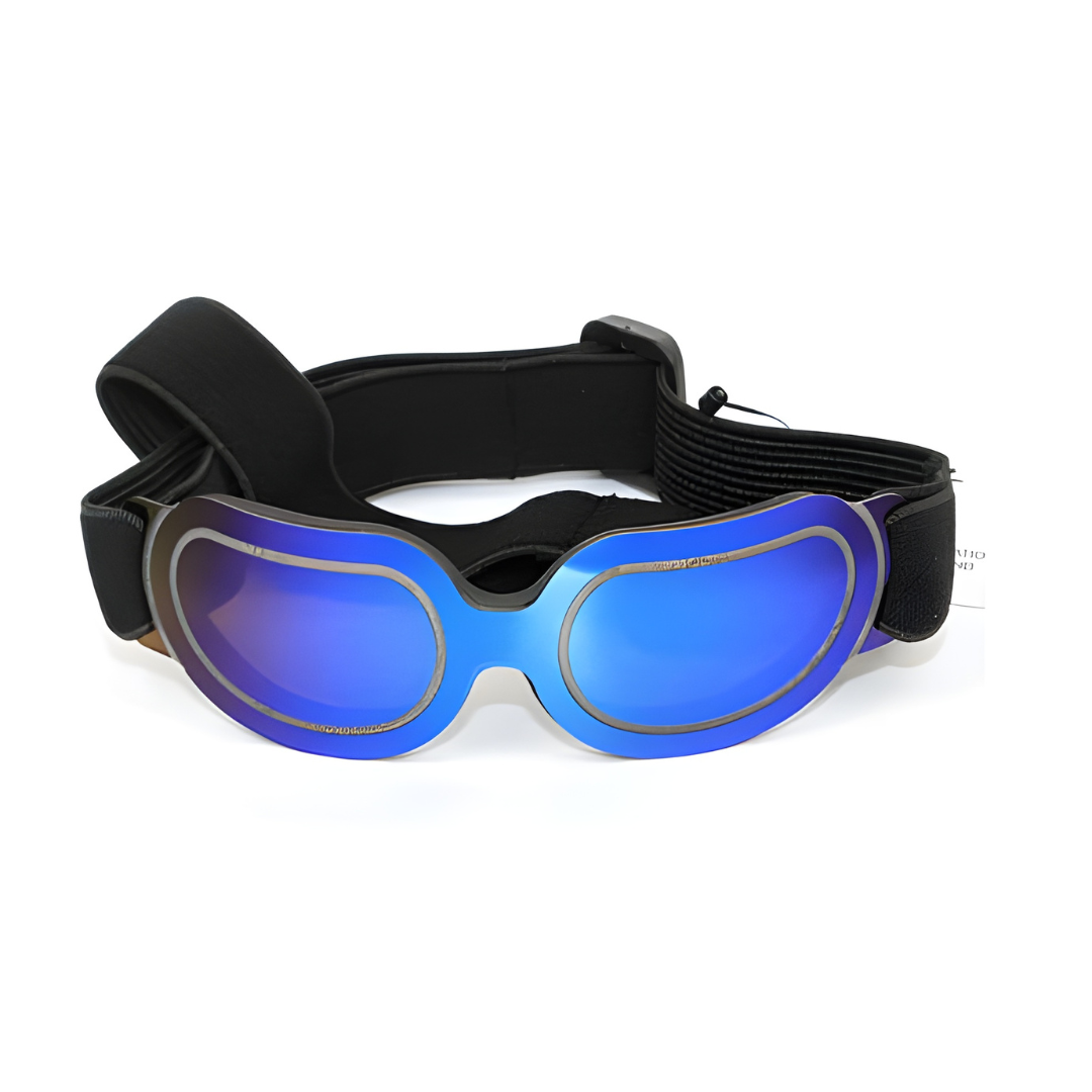 UV PC Dogs SG