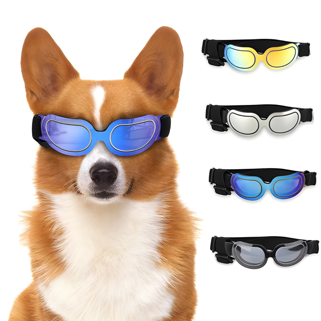 UV PC Dogs SG