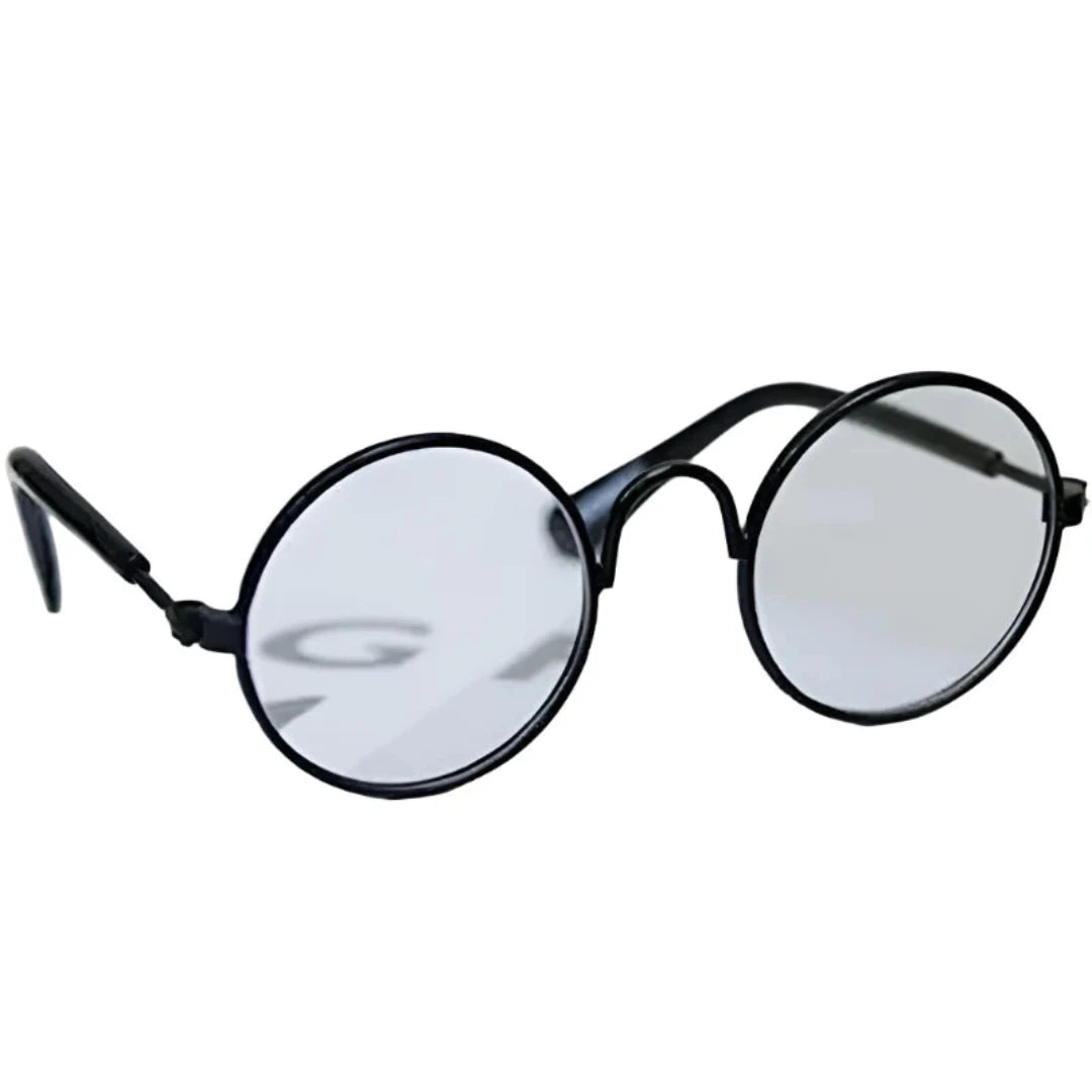 Pet Sunglasses